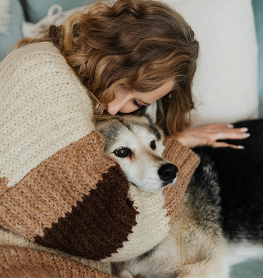 5 Ways to Strengthen the Bond with Your Dog