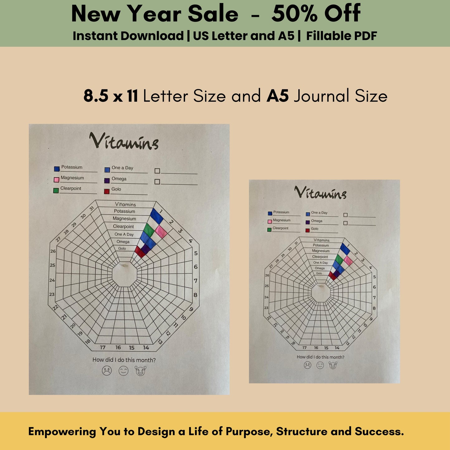 Vitamin Tracker log medication tracker daily health journal pill monthly printable self care yearly medicine bullet idea intake template